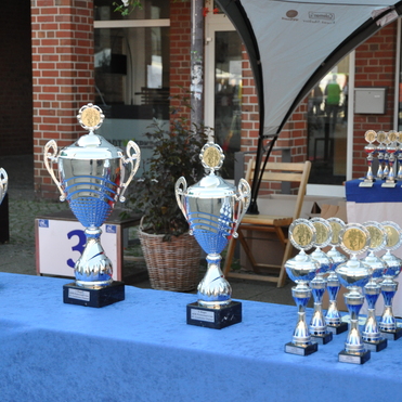 Drei große Pokale und zahlreiche kleine Trophäen stehen auf einem blauen Tisch im Freien.