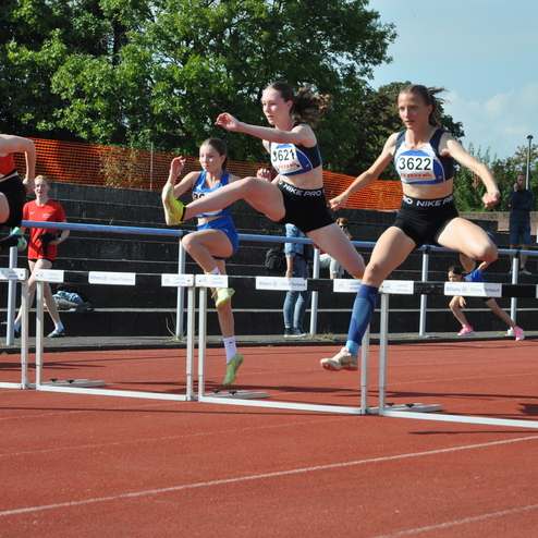 Vier junge Frauen, in Sportkleidung, springen &uuml;ber H&uuml;rden auf einer roten Laufbahn bei einem Wettkampf.