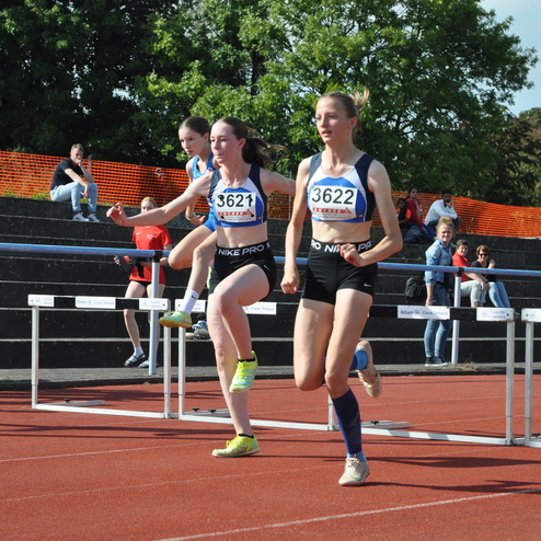 Vier Athletinnen &uuml;berwinden H&uuml;rden auf einer Laufbahn bei einem Wettkampf, Zuschauer im Hintergrund.