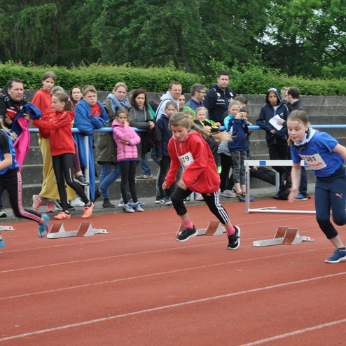 Kinder sprinten auf einer Laufbahn, während Zuschauer sie anfeuern. Hürden stehen in den Startblöcken.