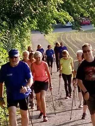 Gruppe von Menschen beim Nordic Walking auf einem schmalen Weg, umgeben von Bäumen und Feldern.