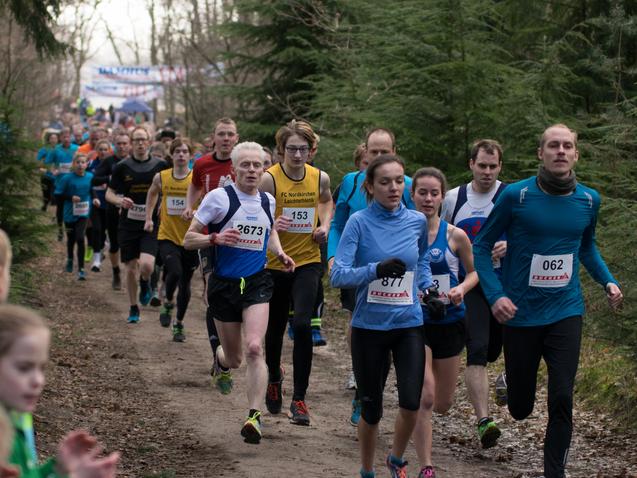 Läuferinnen und Läufer in sportlicher Kleidung absolvieren einen Wettlauf auf einem Waldweg, umgeben von Bäumen.