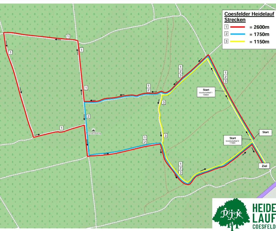 Karte der Coesfelder Heidelauf-Strecken mit drei Längen: 2600m, 1750m und 1150m, sowie Start- und Zielpunkten.