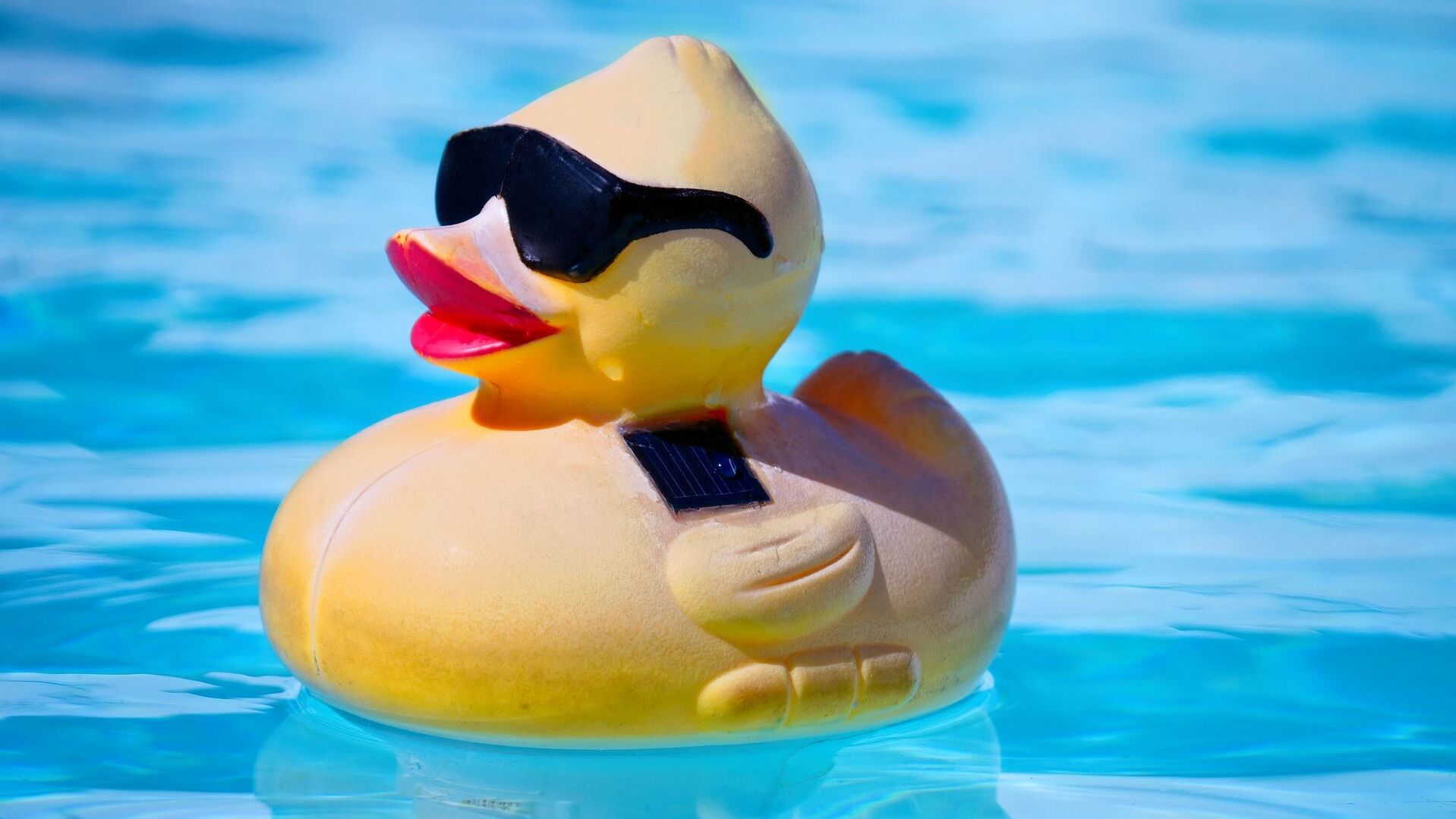 Gummiente mit Sonnenbrille schwimmt in einem blauen Poolwasser.