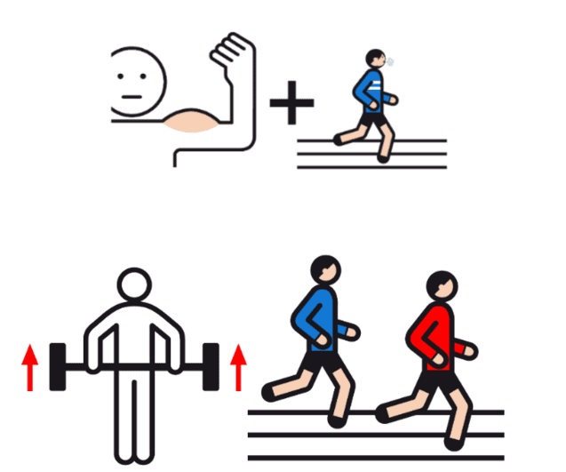 Icons, die Krafttraining (Hantel) und Ausdauertraining (Läufer) symbolisieren, in einer grafischen Darstellung.