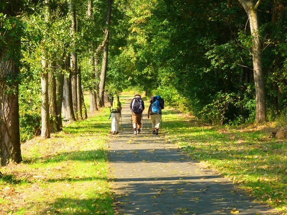 Gruppe von drei Personen wandert auf einem gepflasterten Weg durch einen bewaldeten Park mit herbstlichen Blättern.
