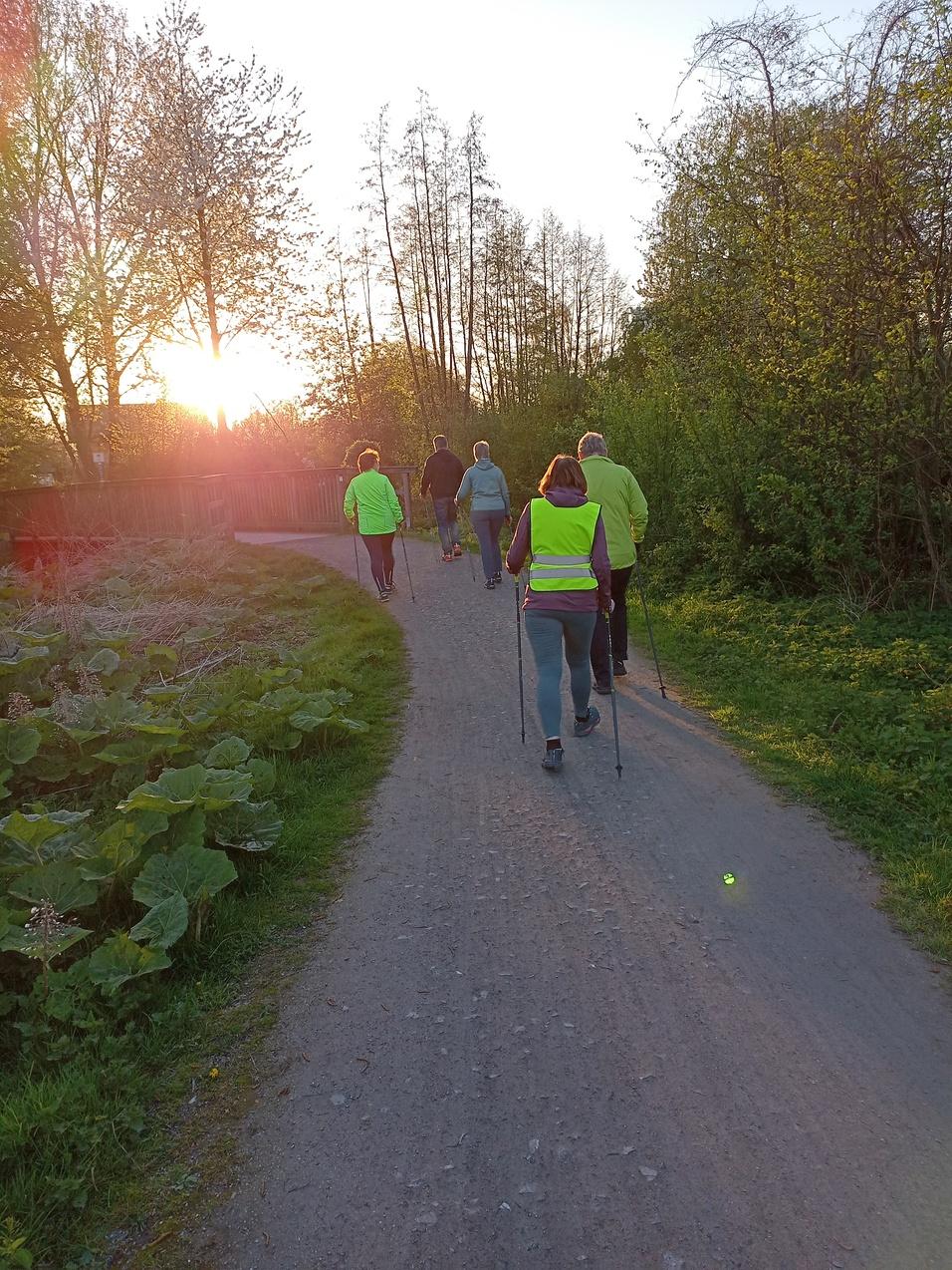 Gruppe von fünf Personen wandert auf einem Weg, umgeben von Bäumen und Pflanzen, bei Sonnenuntergang.