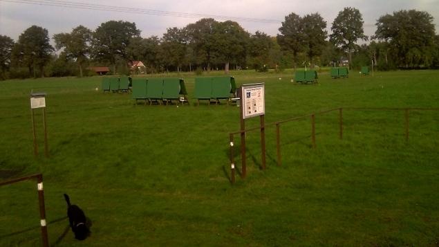 Gr&uuml;ne Wiese mit mehreren aufgestellten, gr&uuml;nen B&auml;nken und einem Informationsschild im Vordergrund. Ein schwarzer Hund l&auml;uft vorbei.