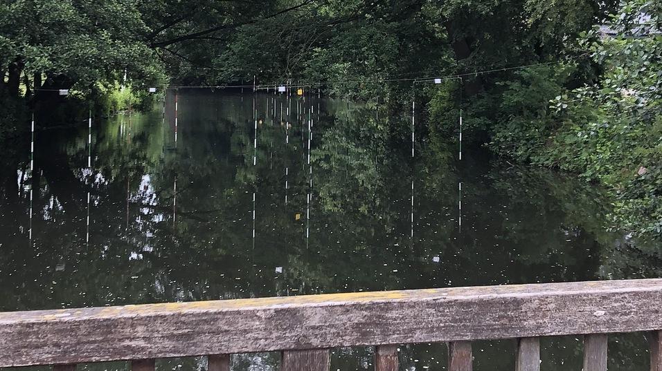 Holzgeländer mit grünen Pflanzen vor einem ruhigen Gewässer, umgeben von dichten, grünen Bäumen und bewölktem Himmel.