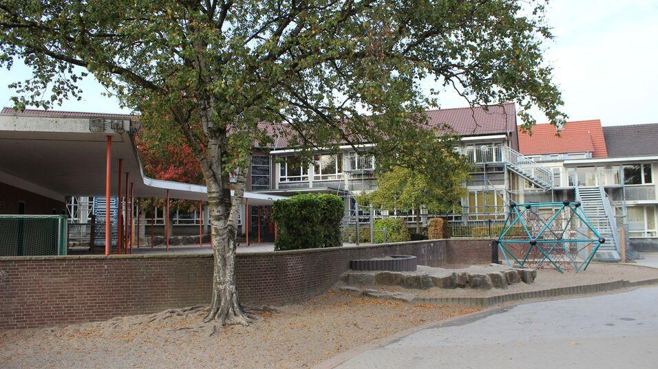 Schulhof mit einem gro&szlig;en Baum, Kletterger&uuml;st, und mehreren Schulgeb&auml;uden im Hintergrund. Herbstlaub auf dem Boden.