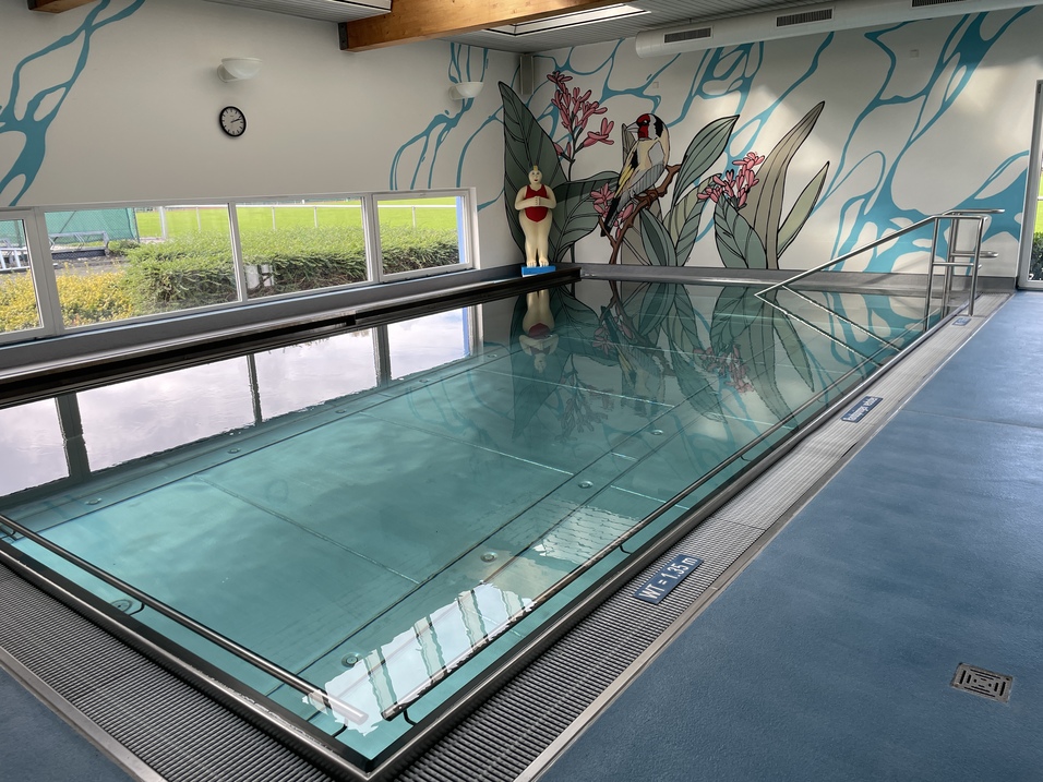 Innenansicht eines Swimmingpools mit Glasoberfläche, einer Uhr und einer bunten Wandmalerei mit Pflanzen und Vogel.