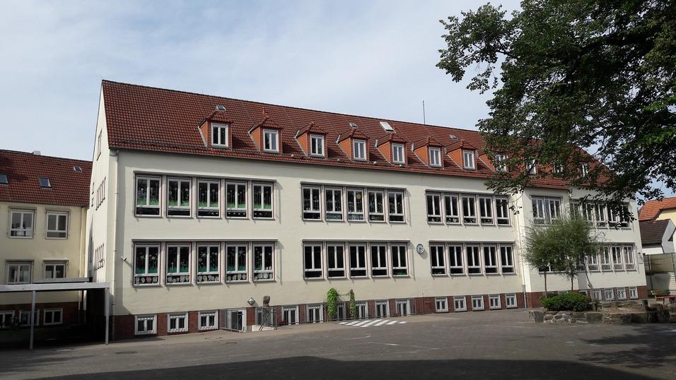 Schulgebäude mit rotgedecktem Dach und großen Fenstern, umgeben von einem Schulhof und Bäumen.