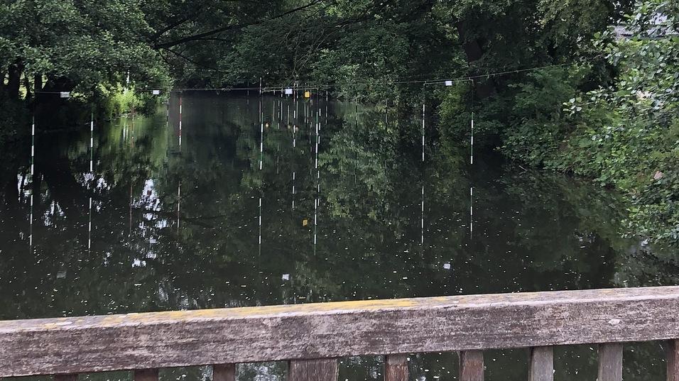 Holzgel&auml;nder mit gr&uuml;nen Pflanzen vor einem ruhigen Gew&auml;sser, umgeben von dichten, gr&uuml;nen B&auml;umen und bew&ouml;lktem Himmel.