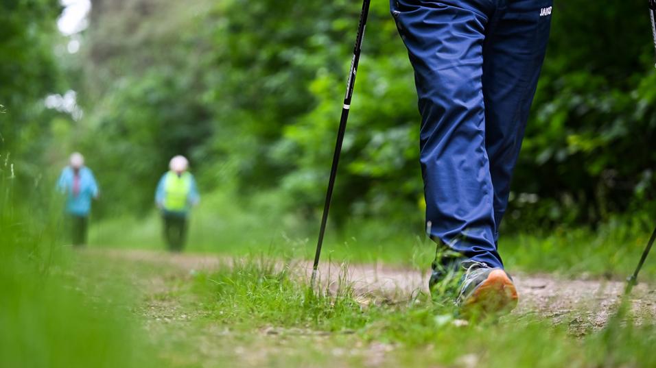 Nahaufnahme eines wandernden Fußes mit Trekkingstock auf einem schmalen Weg, im Hintergrund zwei weitere Personen.